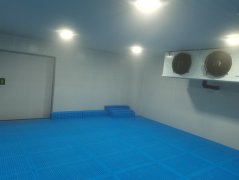 小型2-8度醫(yī)(yī)藥冷庫(kù)