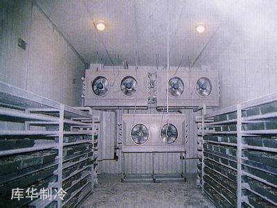 速凍冷庫(kù)設(shè)(shè)計(jì)(jì)與